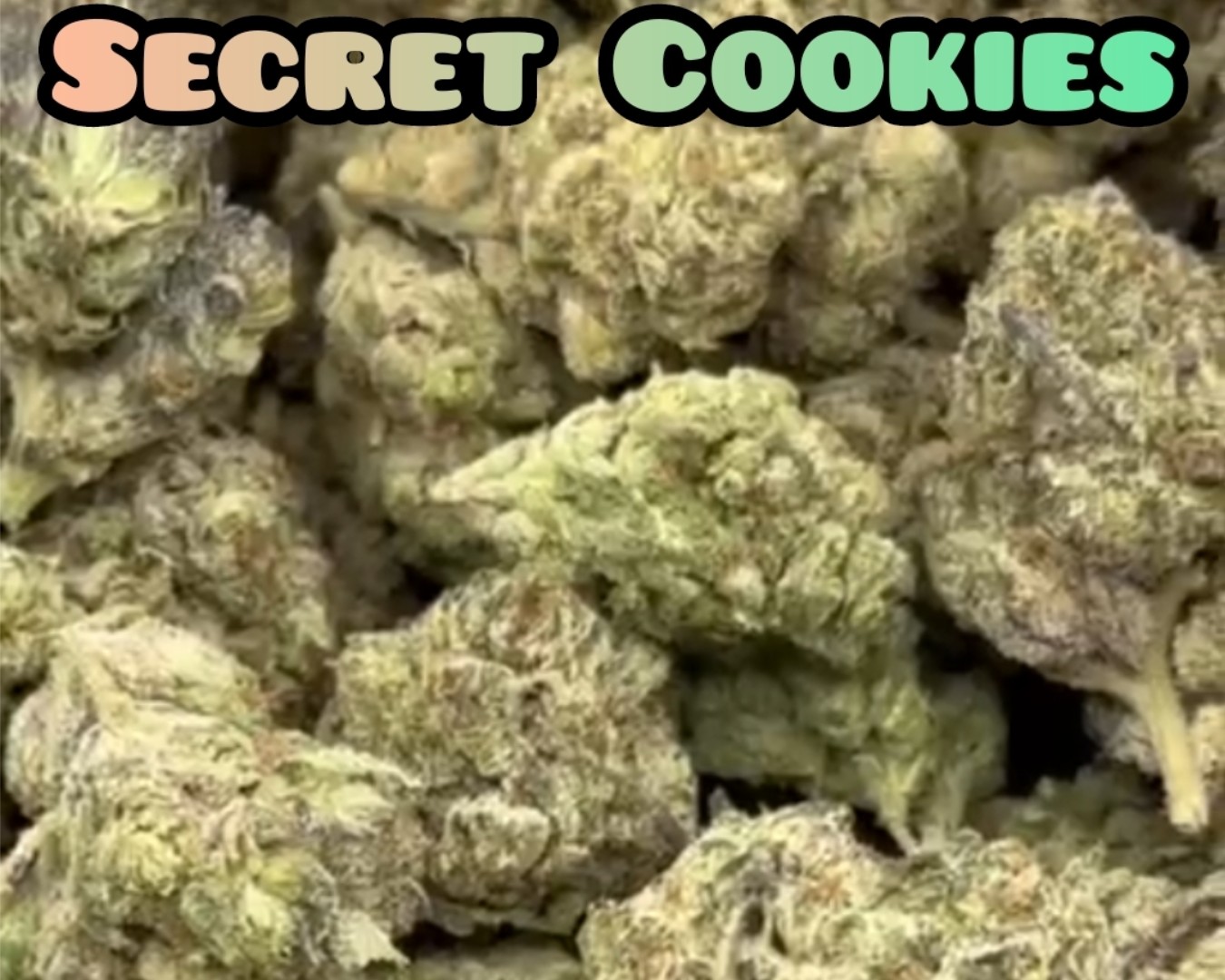 Secret Cookie - Indica Dominate