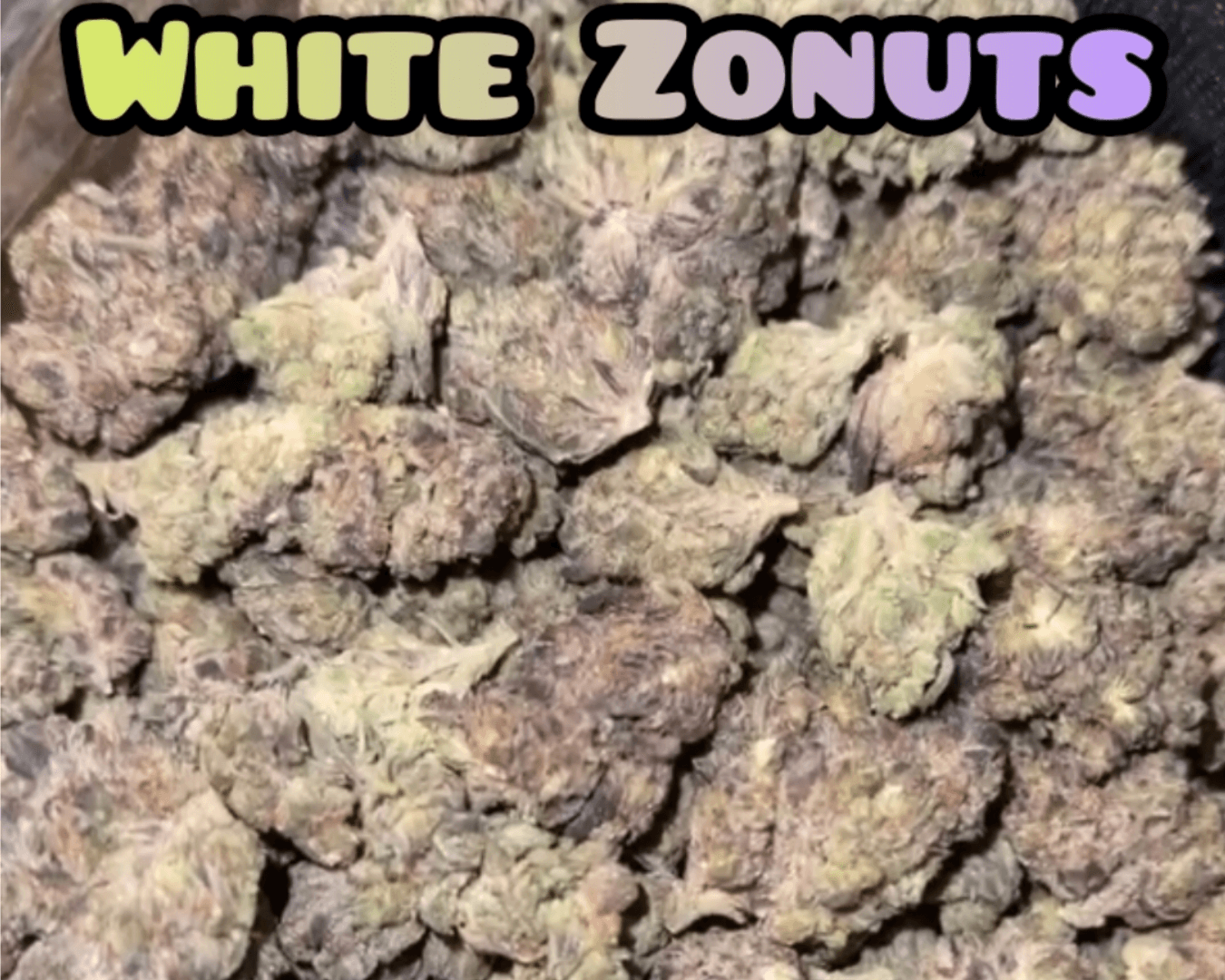 White Zonuts - Hybrid