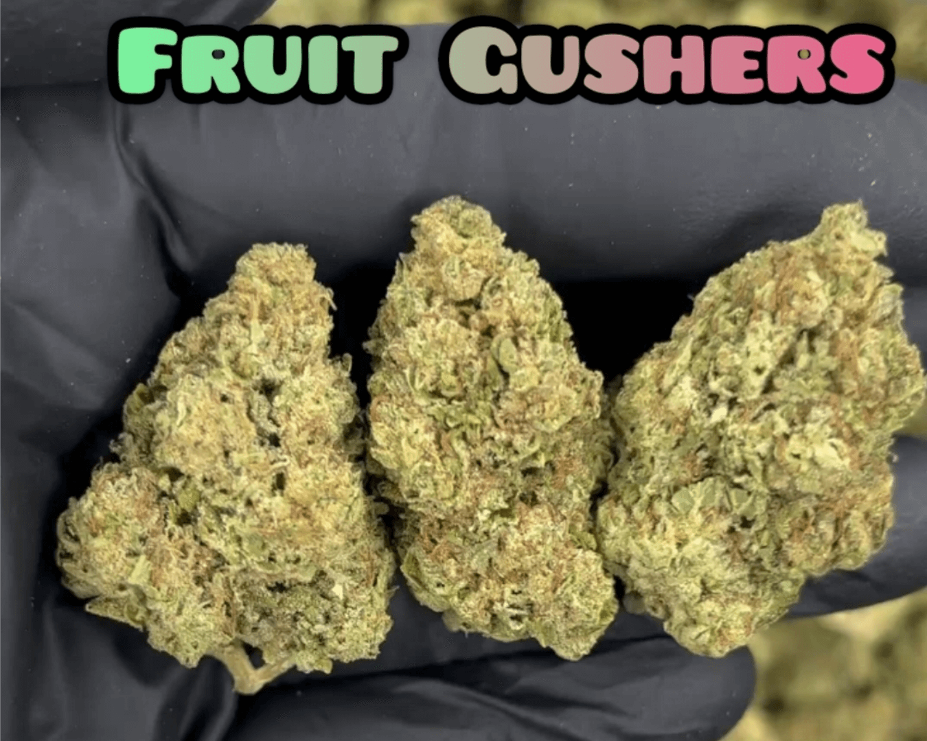Fruit Gushers - Indica Dominant