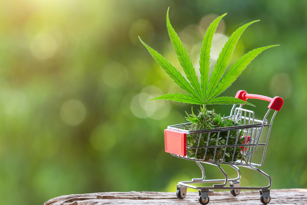 The Future of Weed Delivery in Washington DC: Trends to Watch in 2026