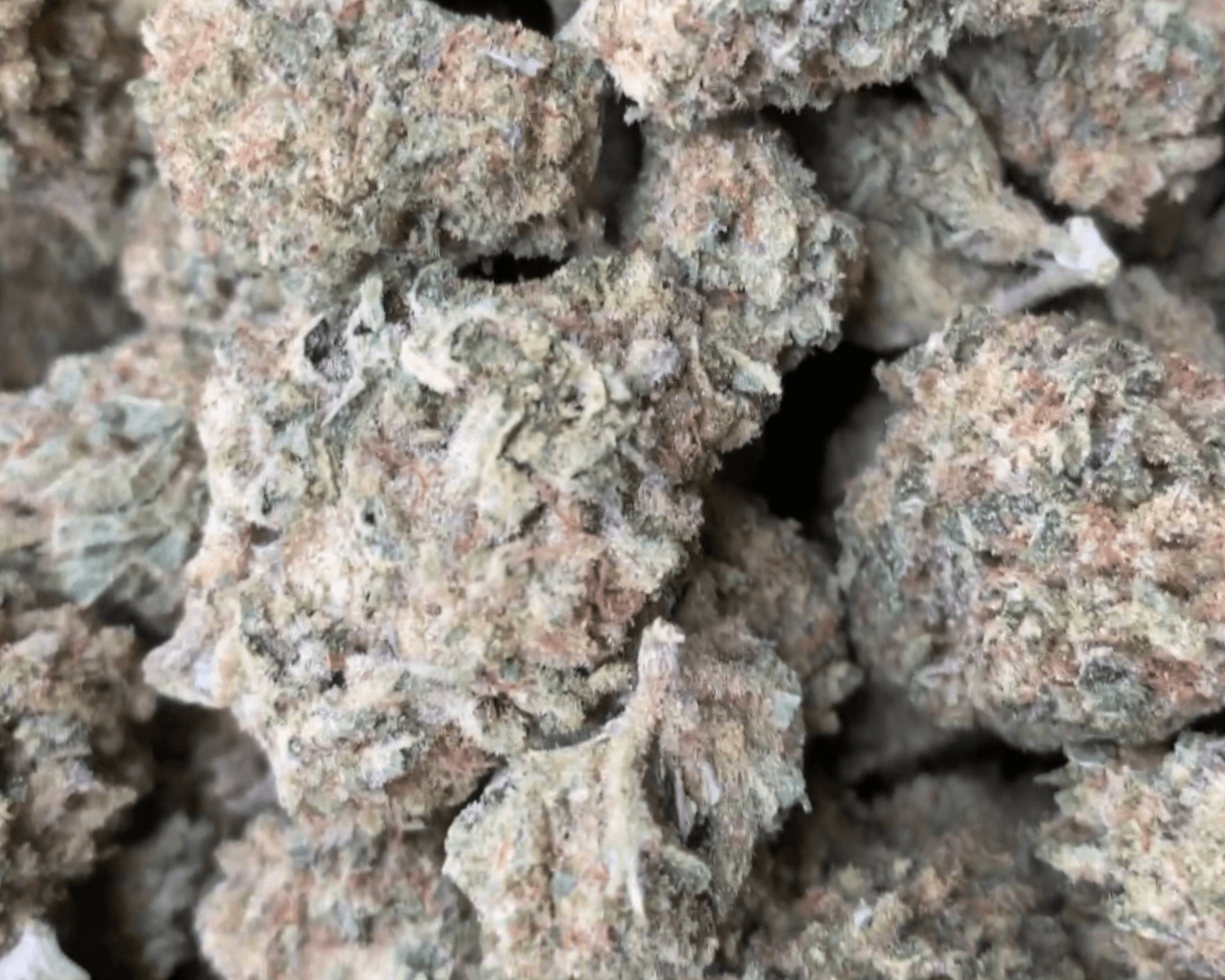 Black Ice - Indica