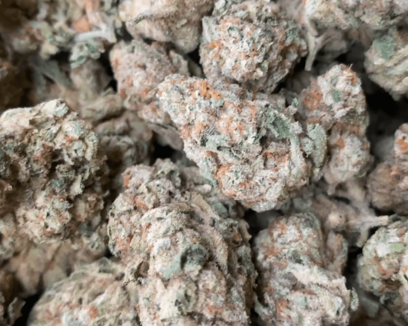 Chromag - Indica