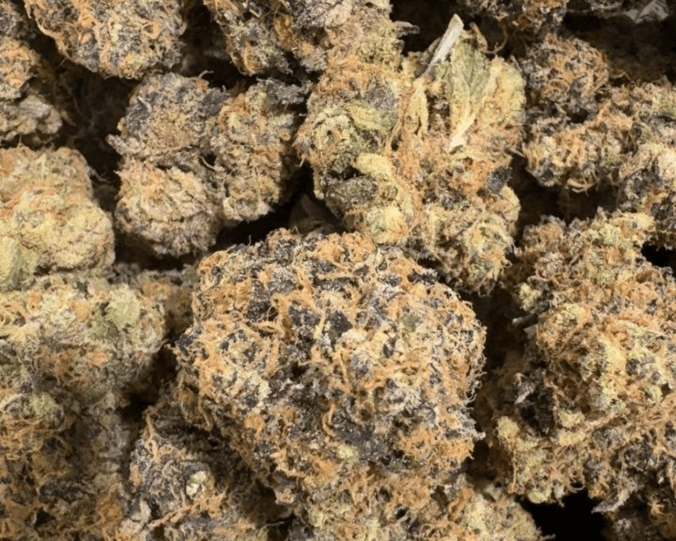 Headstash: Black Ice
