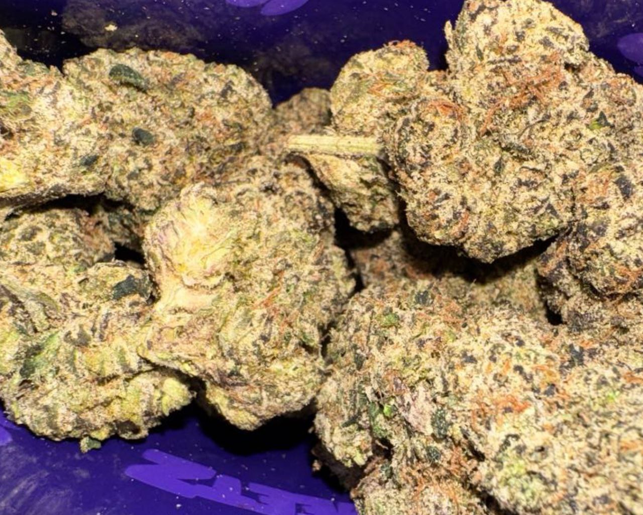 Sweetz Exotics: Trap Candy - H - 37.77%