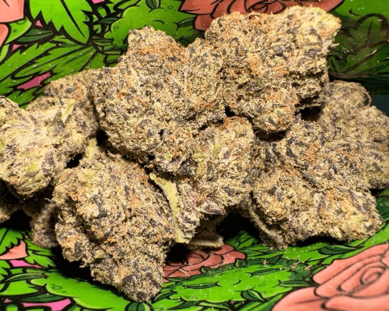 Pillows: Candy Land - S - 36.94%