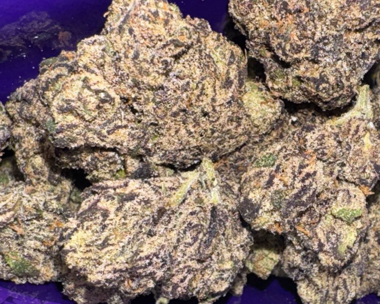 Sweetz Exotics: Bust Down Berries - H - 38.63%