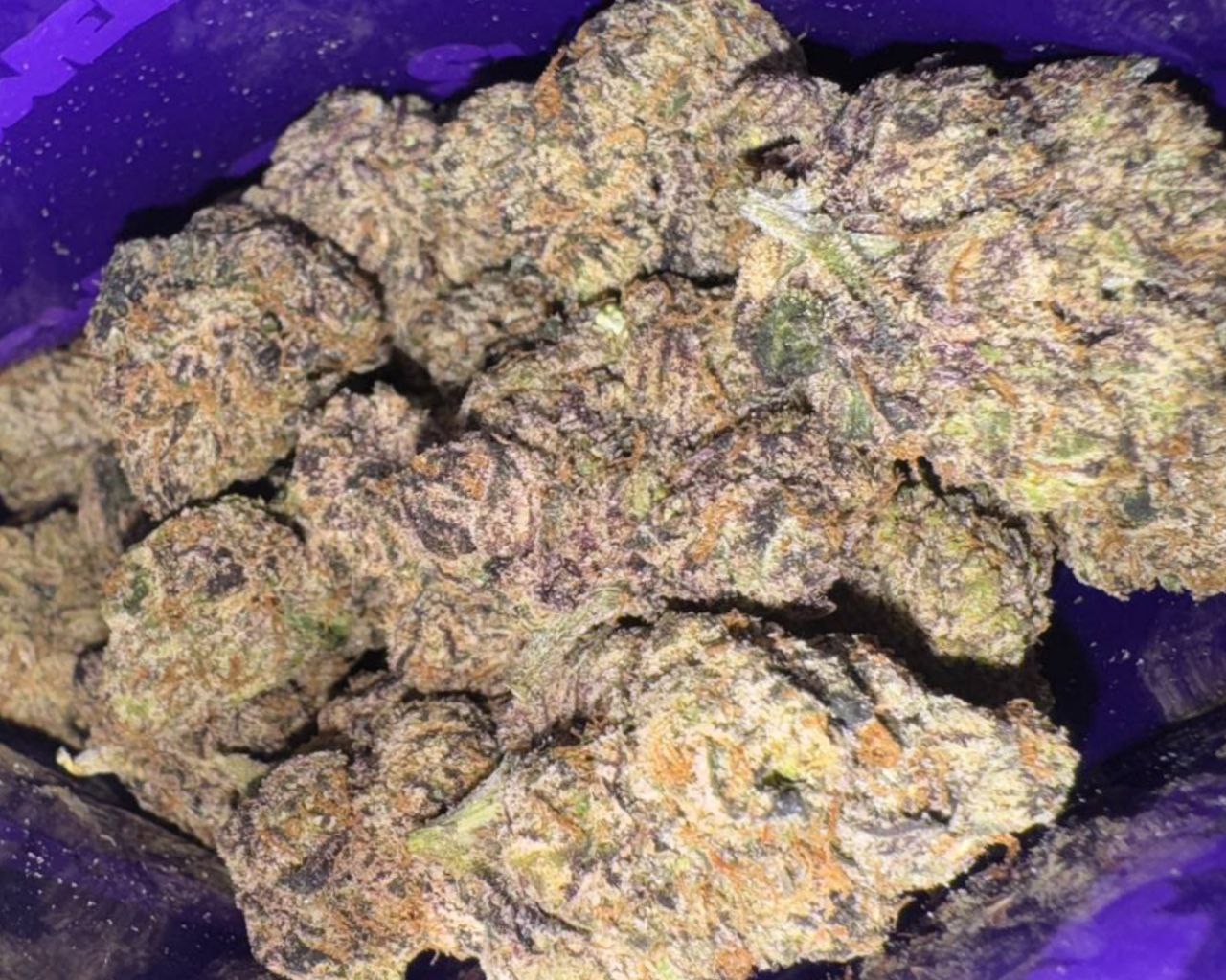 Sweetz Exotics: Hot Zheetoz - I - 38.16%