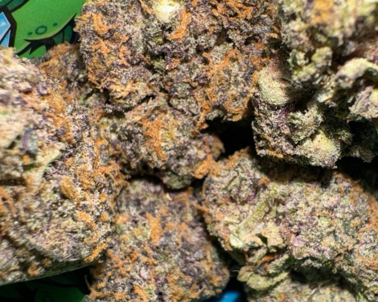 Pillows: Trapstar - I - 34.93%