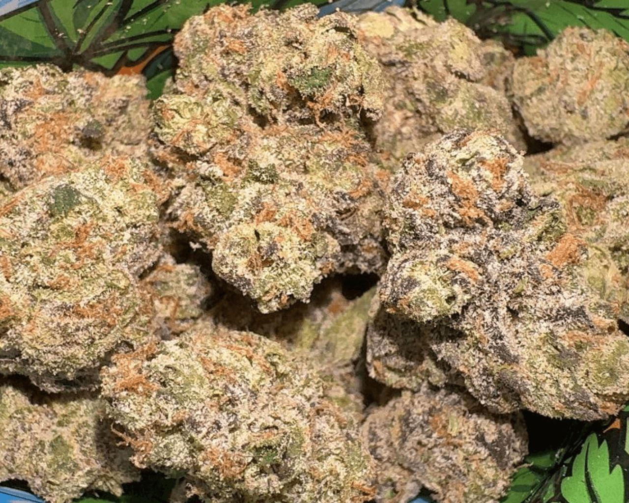 Pillows: Tangerine Twist - S - 38.84%