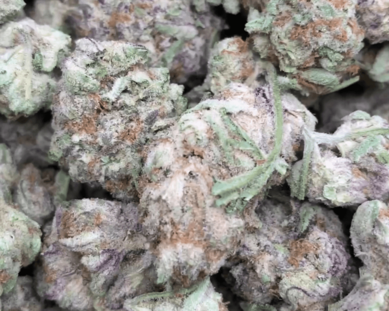 Power Punch - Indica